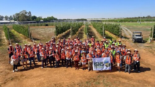 El IRTA participa en el XI Symposium of Irrigation in Horticultural Crops, el congreso internacional de referencia en riego agrícola.jpg